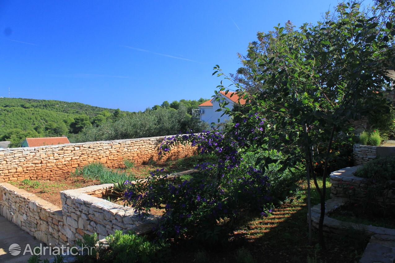 Giardino - Appartamenti con parcheggio Rukavac, Lissa - Vis