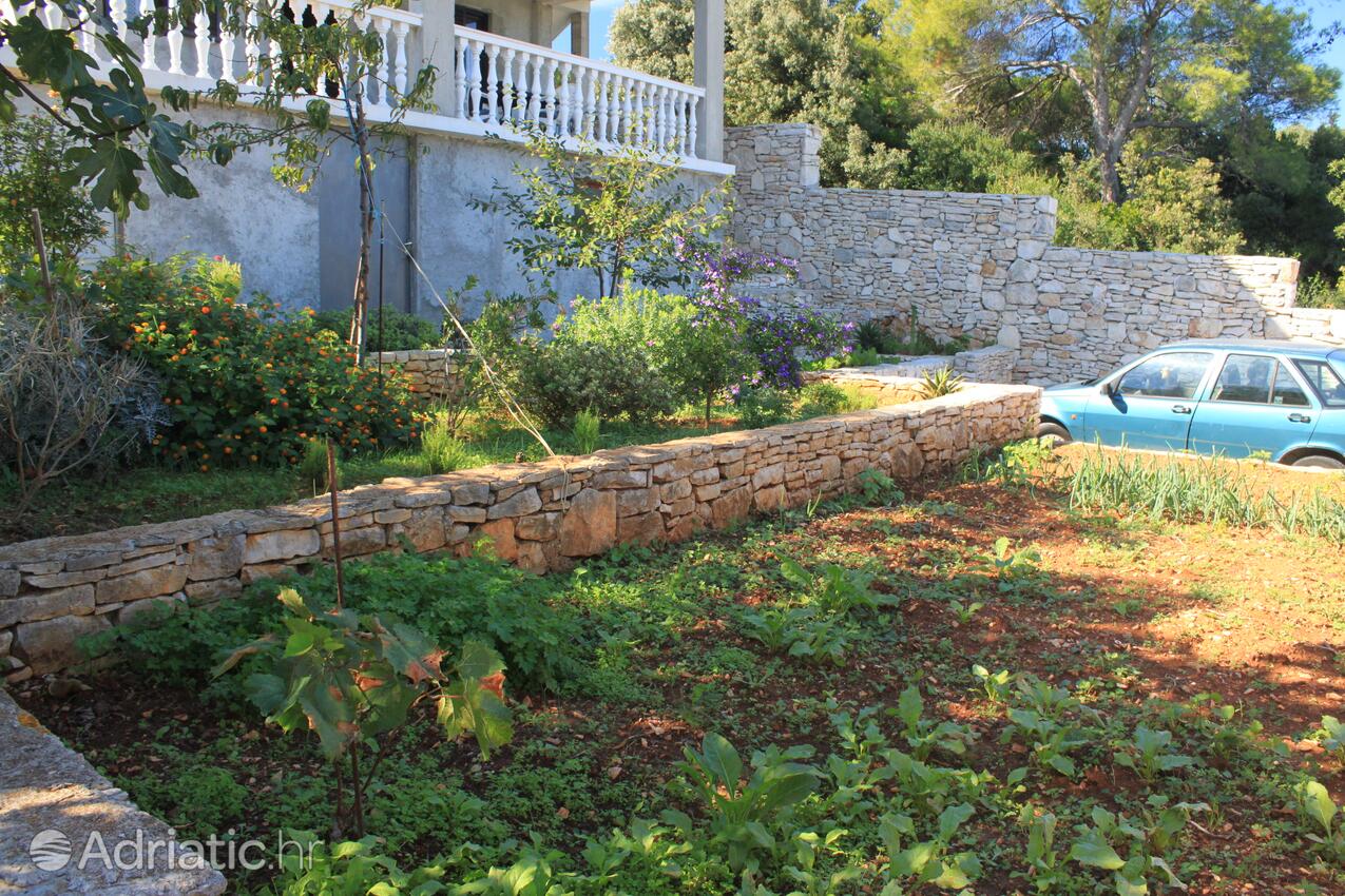 Giardino - Appartamenti con parcheggio Rukavac, Lissa - Vis