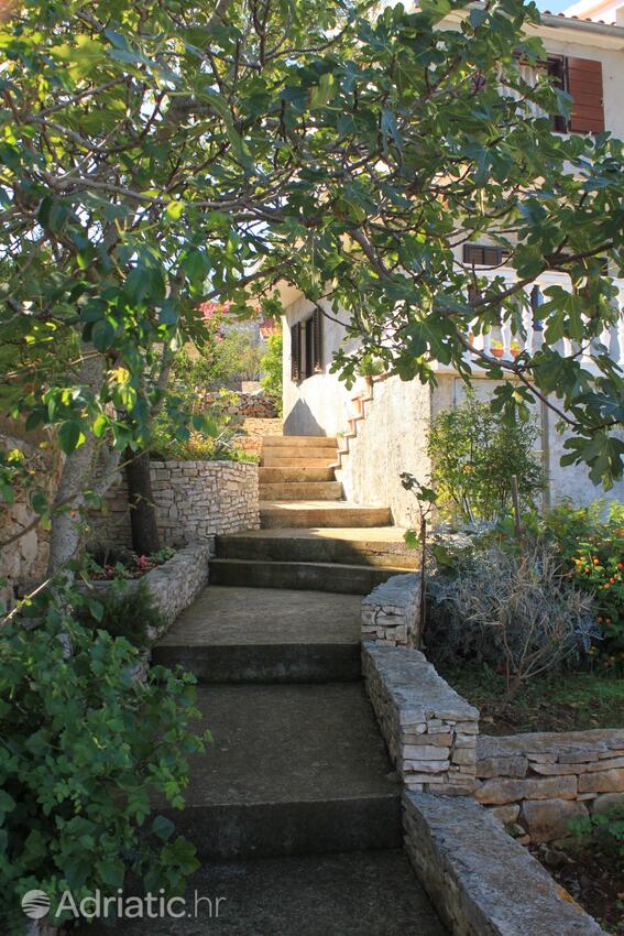 Giardino - Appartamenti con parcheggio Rukavac, Lissa - Vis