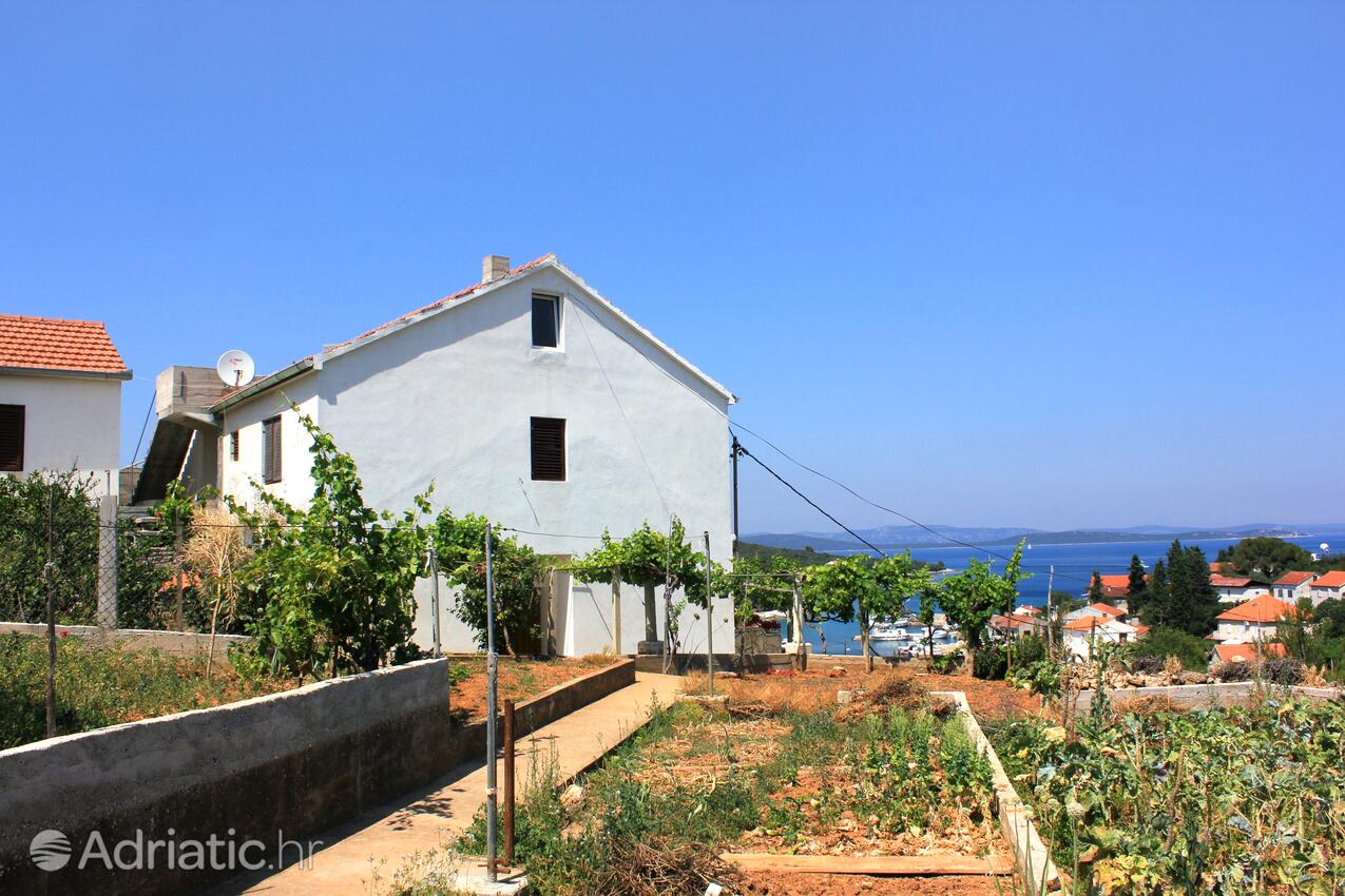 Apartamenty z internetem Zman, Dugi otok - 887