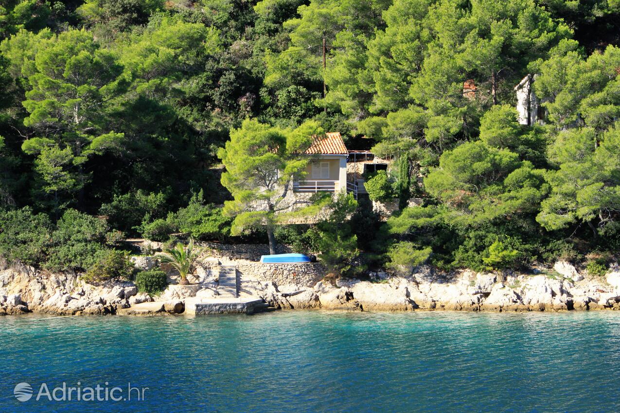 Secluded fisherman's cottage Cove Stončica, Vis - 8894