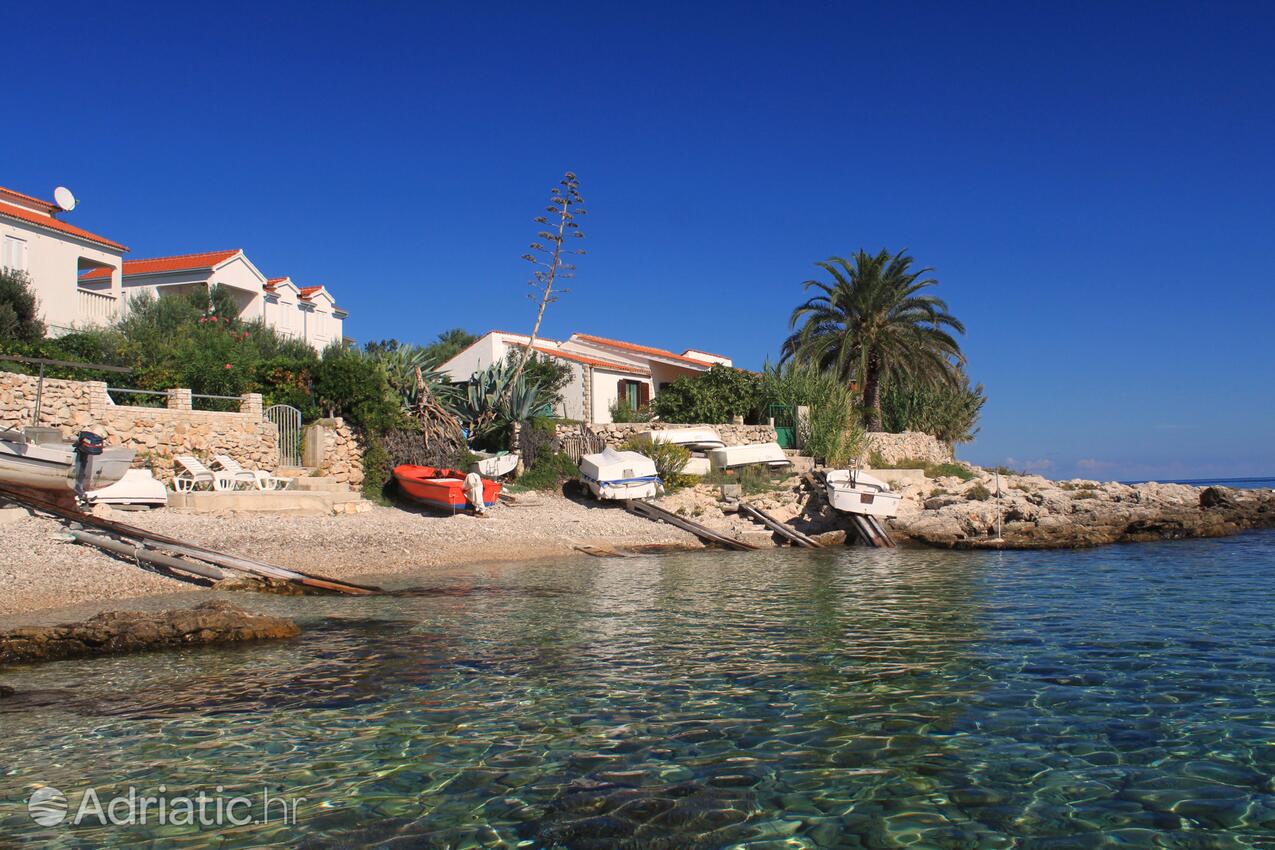 Alloggio - Casa vacanze accanto al mare Milna, Lissa - Vis
