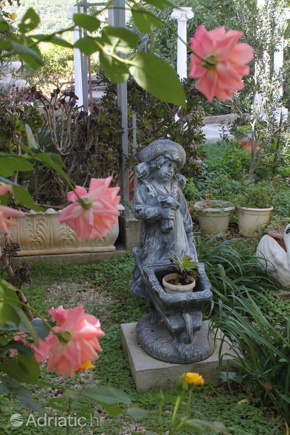 Giardino - Appartamenti con Internet Comisa - Komiža, Lissa - Vis