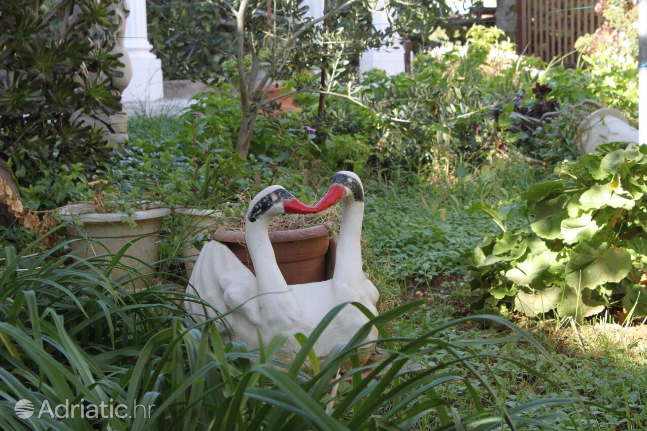 Giardino - Appartamenti con Internet Comisa - Komiža, Lissa - Vis