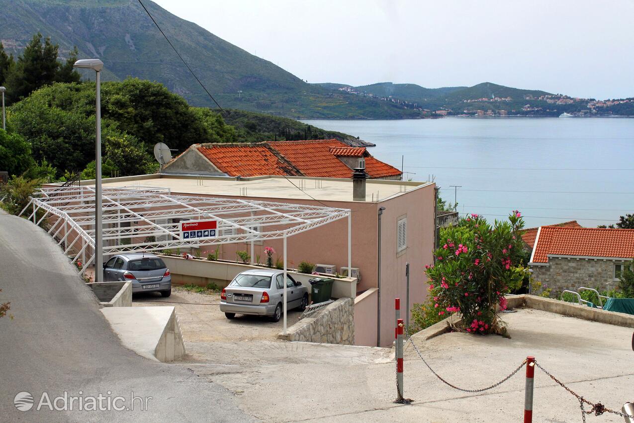 Ferienwohnungen am Meer Mlini, Dubrovnik - 8971