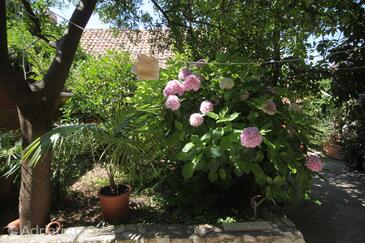 Lägenheter vid havet Cavtat, Dubrovnik - 9067