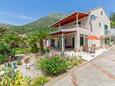 Апартаменти Trsteno (Dubrovnik) - 9107