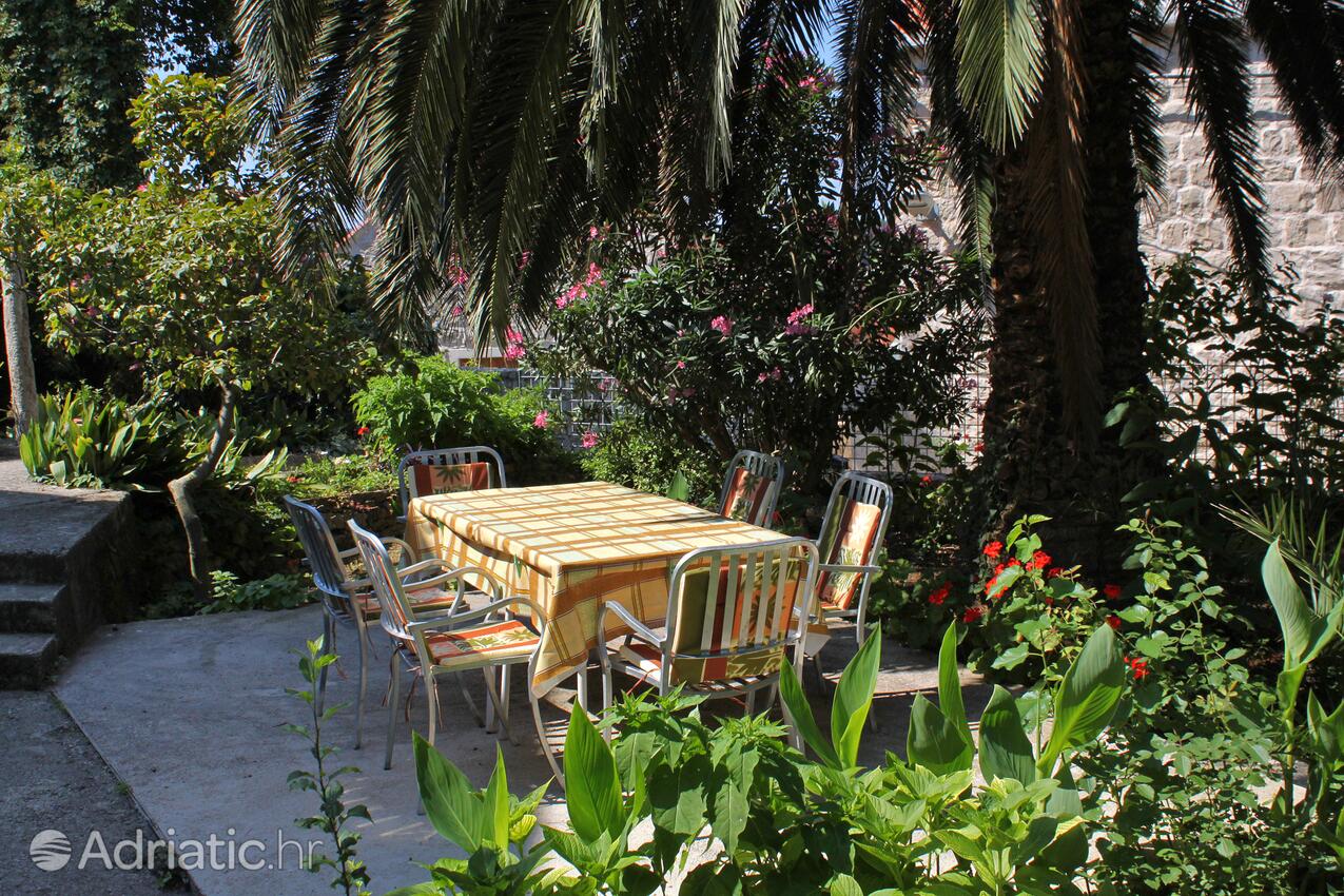 Ferienhaus am Meer Cavtat, Dubrovnik - 9113