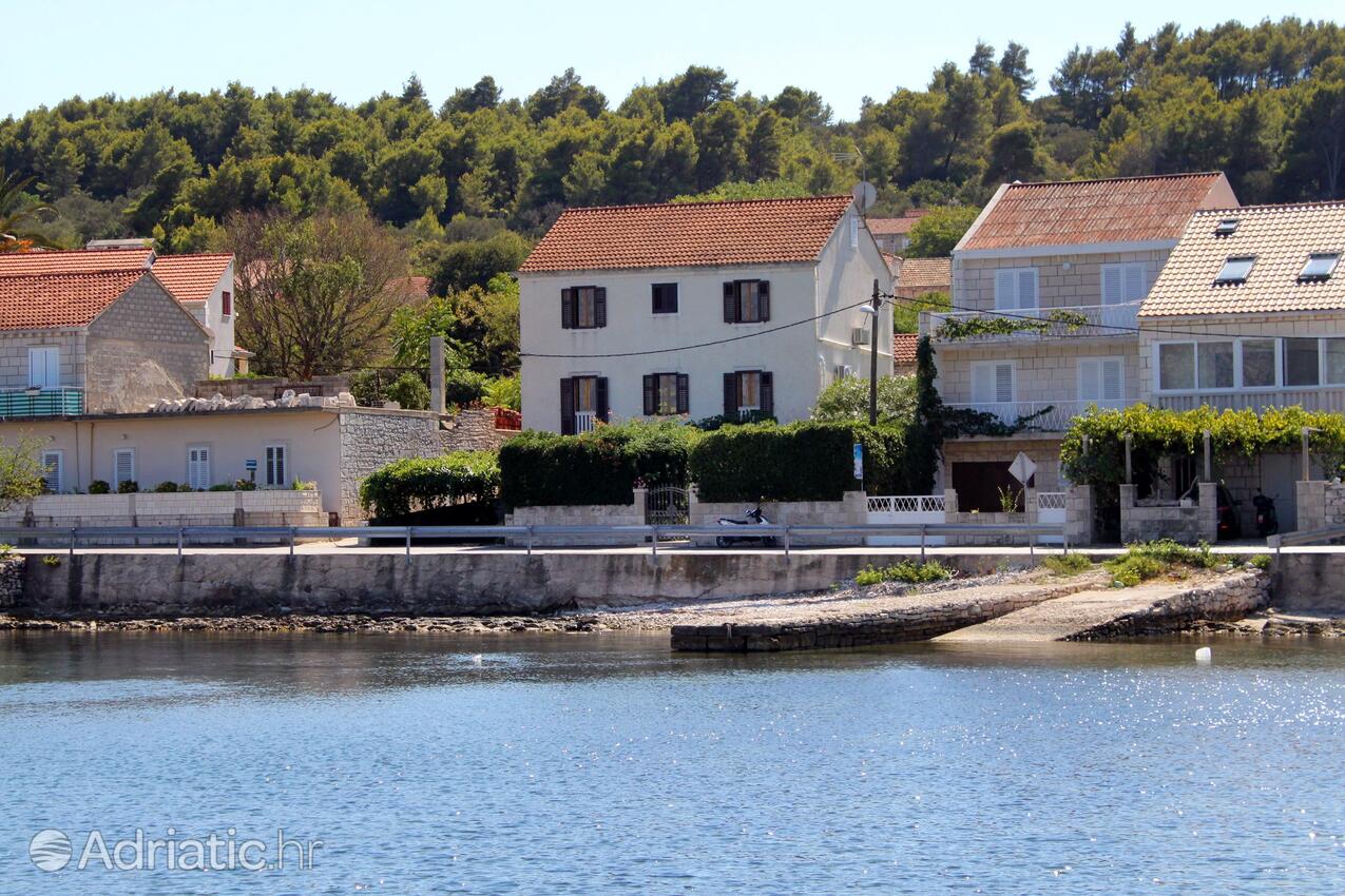 Apartments by the sea Lumbarda, Korčula - 9135