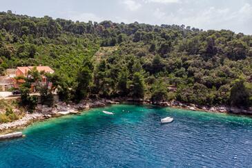 Appartements Près De La Mer Brna, Korcula - 9159 - Smokvica
