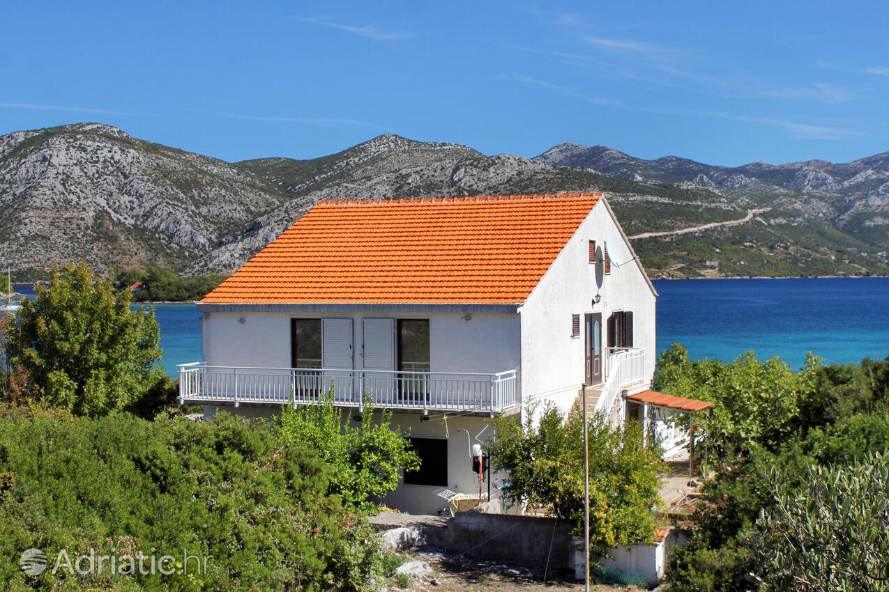 Appartements près de la mer Kneza, Korcula - 9185