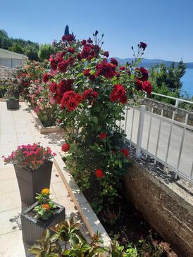 Apartments with terrace Brodarica, North Dalmatia
