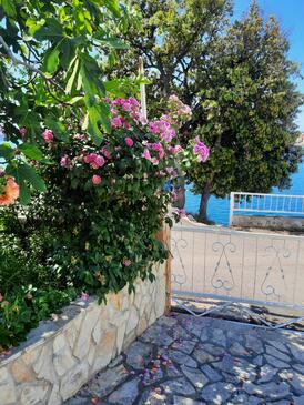 Apartments with terrace Brodarica, North Dalmatia