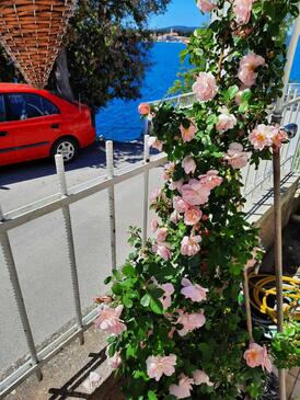 Apartments with terrace Brodarica, North Dalmatia