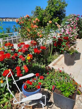 Apartments with terrace Brodarica, North Dalmatia