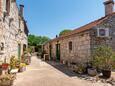 Апартаменти Žrnovo (Korčula) - 9239