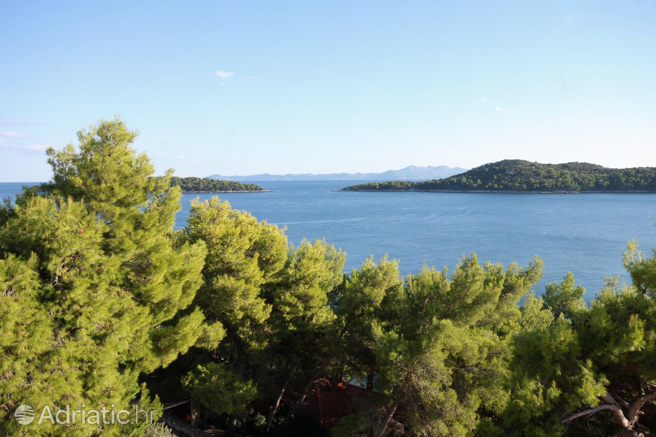 A-9276-a - Private accommodation - Apartments by the sea Prižba, Korčula