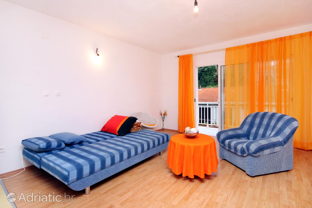 Prázdninový dům u moře Prigradica, Korčula - 9282