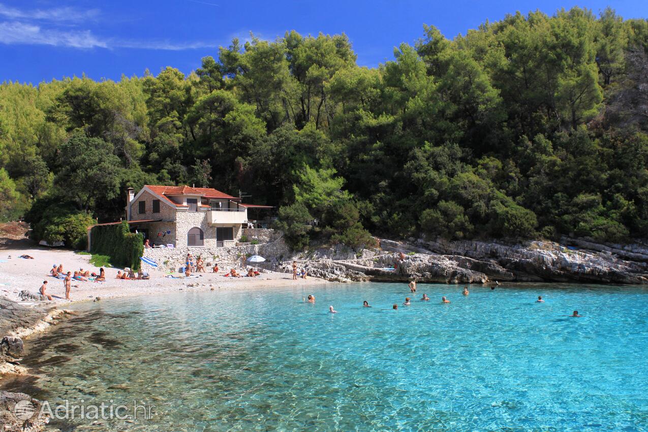Apartmány u moře Zavalatica, Korčula - 9294