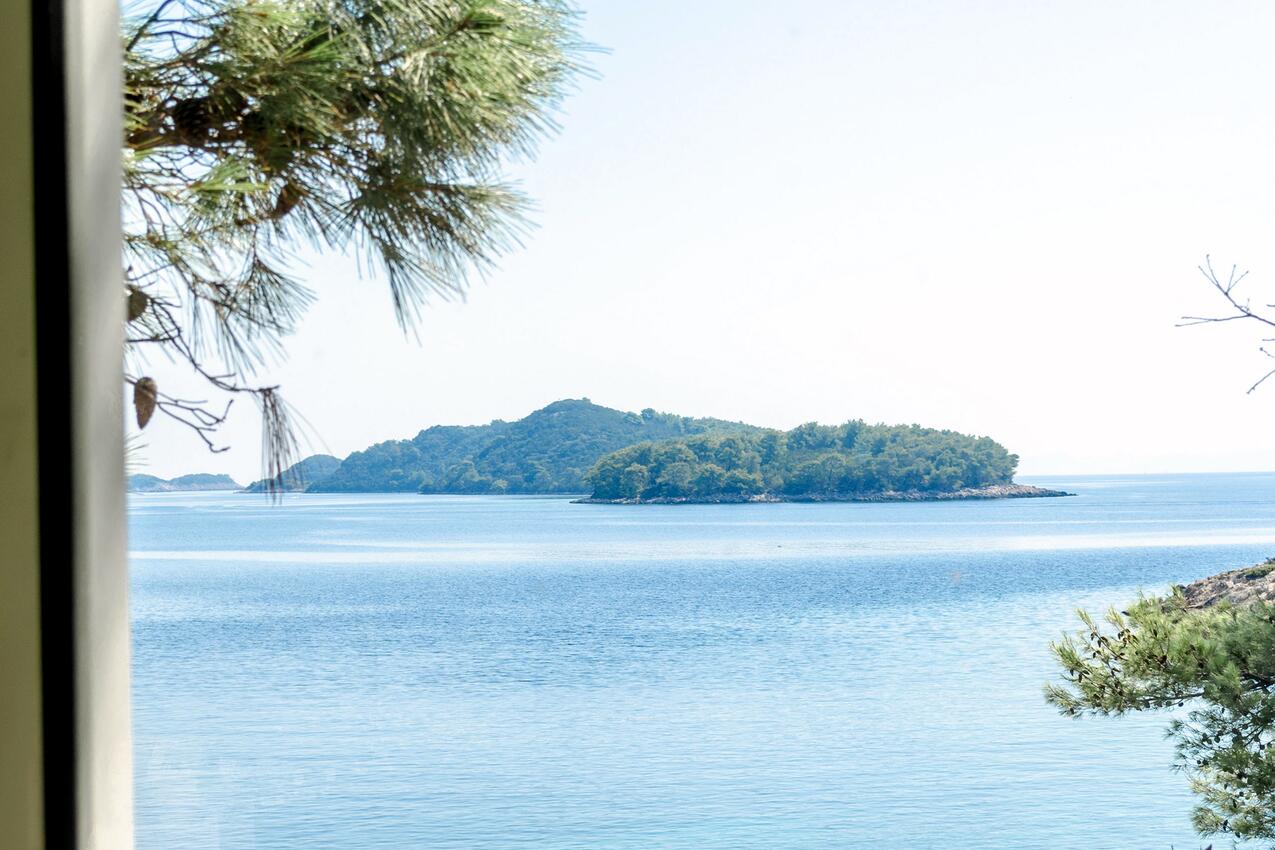 A-9320-a - Private accommodation - Apartments by the sea Cove Zaglav, Korčula