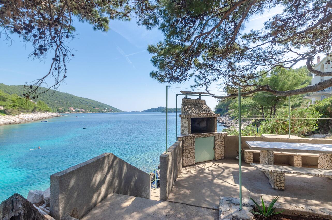 Courtyard - Apartments by the sea Cove Zaglav, Korčula