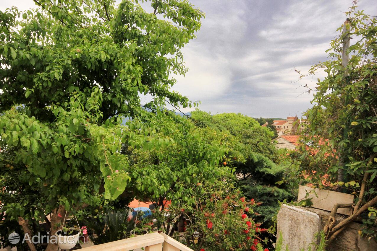 Courtyard - Apartments by the sea Korčula