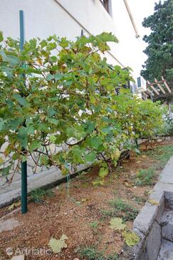 Apartamenty nad morzem Stara Novalja, Pag - 9347