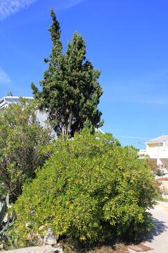 Appartamenti accanto al mare Novaglia Vecchia - Stara Novalja, Pago - Pag - 9368