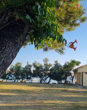 Apartmaji ob morju Dinjiška, Pag - 9386