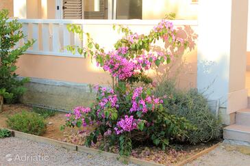 Apartments with parking space Novalja, Pag - 9403