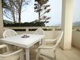 Stara Novalja, Terrace 1 in the apartment, with a sea view, (pet friendly) and WiFi.