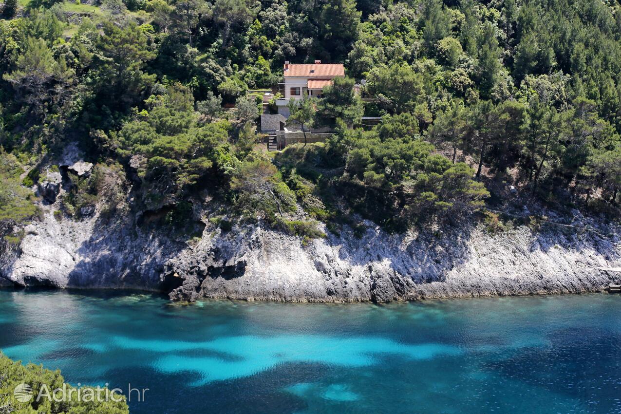 Fiskarhus för semester vid havet Vik Bacva, Korcula - 9475