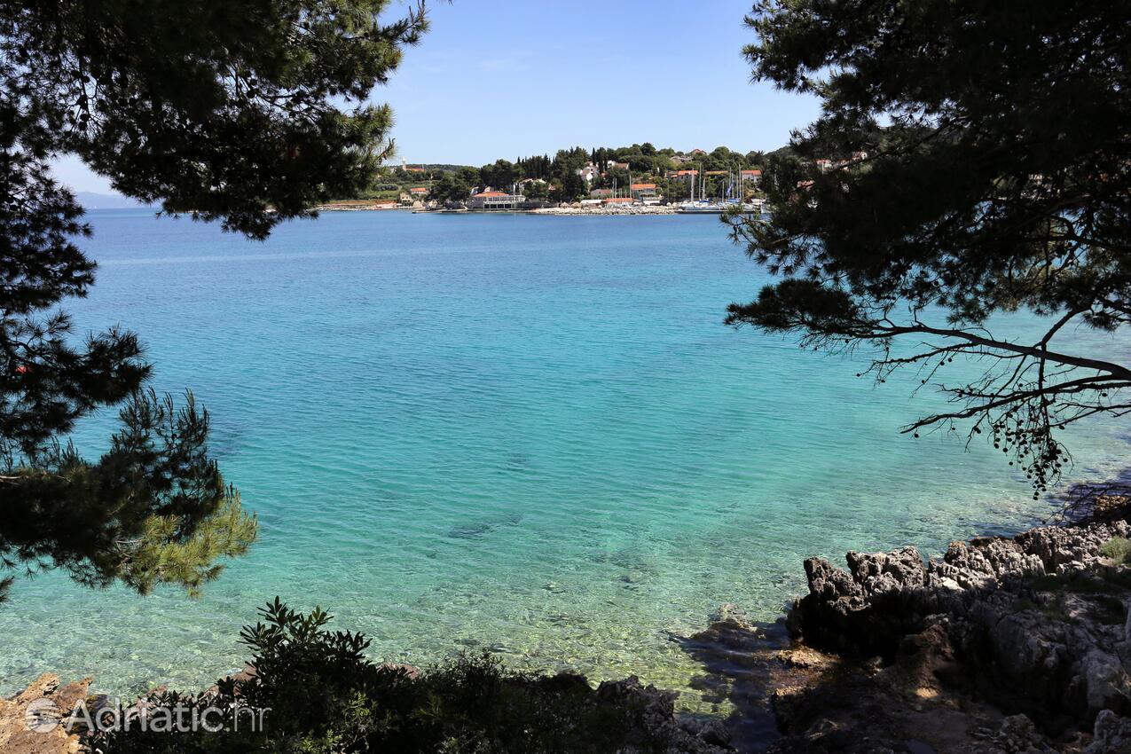 A-9480-a - Private accommodation - Apartments by the sea Lumbarda, Korčula