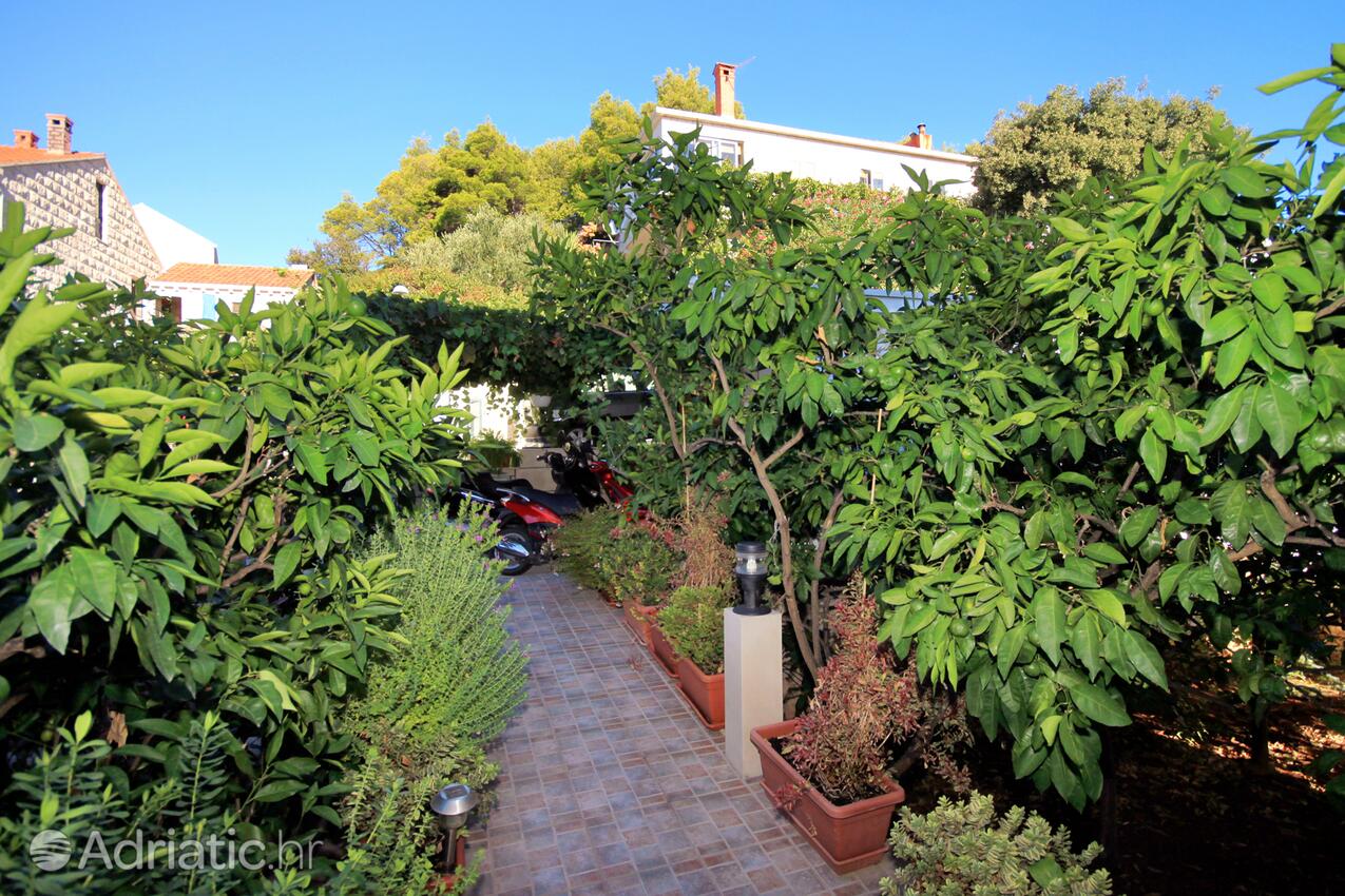 Courtyard - Apartments by the sea Lumbarda, Korčula