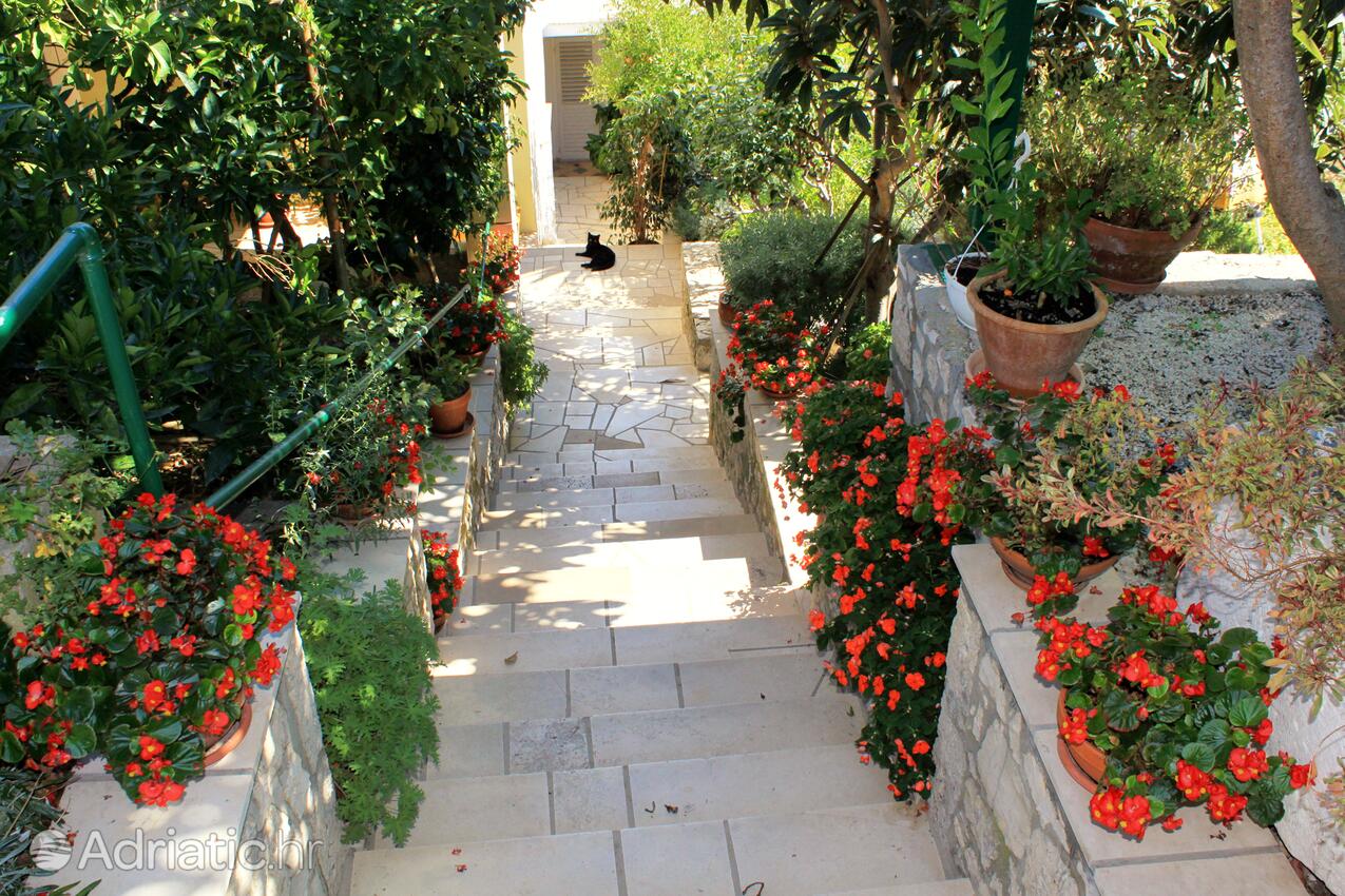 Courtyard - Apartments by the sea Lumbarda, Korčula
