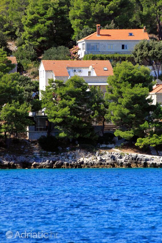 Property - Apartments by the sea Lumbarda, Korčula