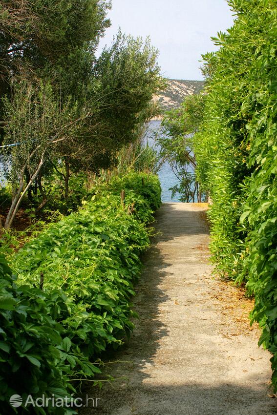 Apartments by the sea Stara Novalja, Pag - 9725