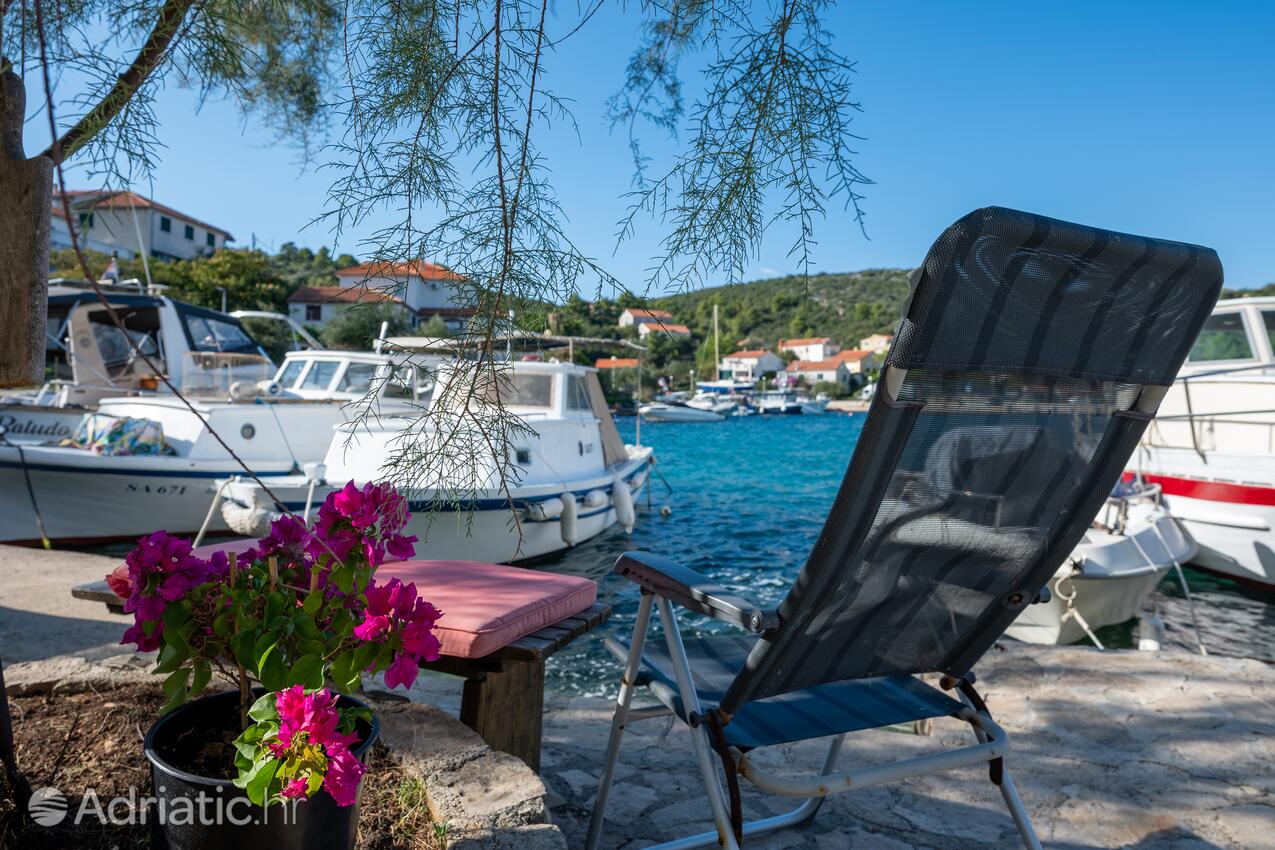 Familienferienwohnungen am Meer Zaglav, Dugi otok - 9726