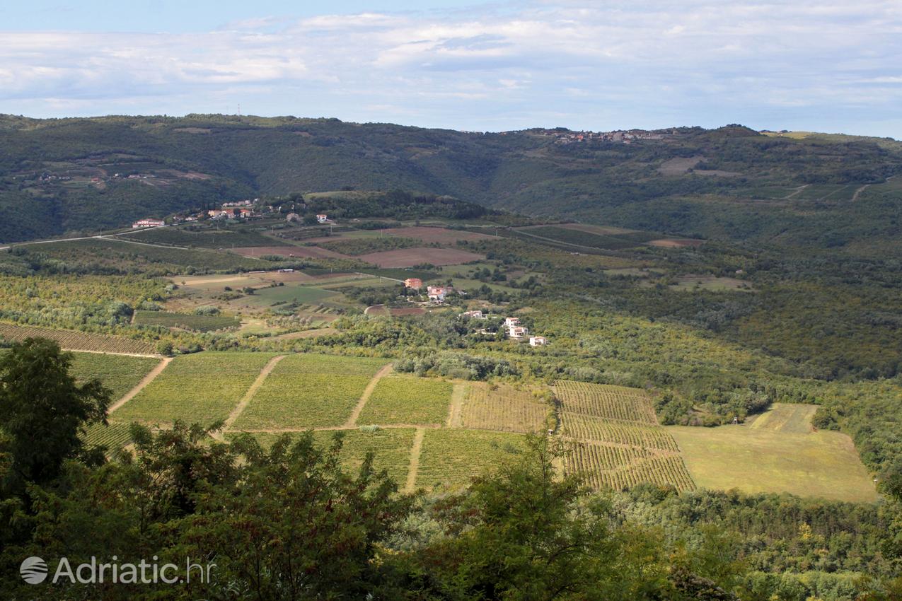 Središnja Istra în regiunea Istra (Croaţia)